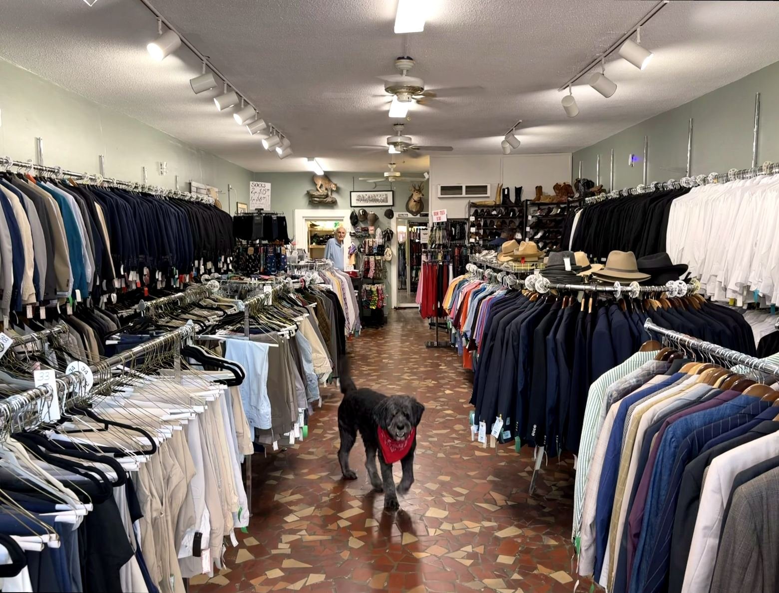 The centre aisle of Gentlemen's Closet, packed front to back with double-sided racks of jackets, shirts, suits and hats, a wall of shoes, the mounted bobcat on the back wall, and the store dog walking down the middle of the mosaic tile floor.